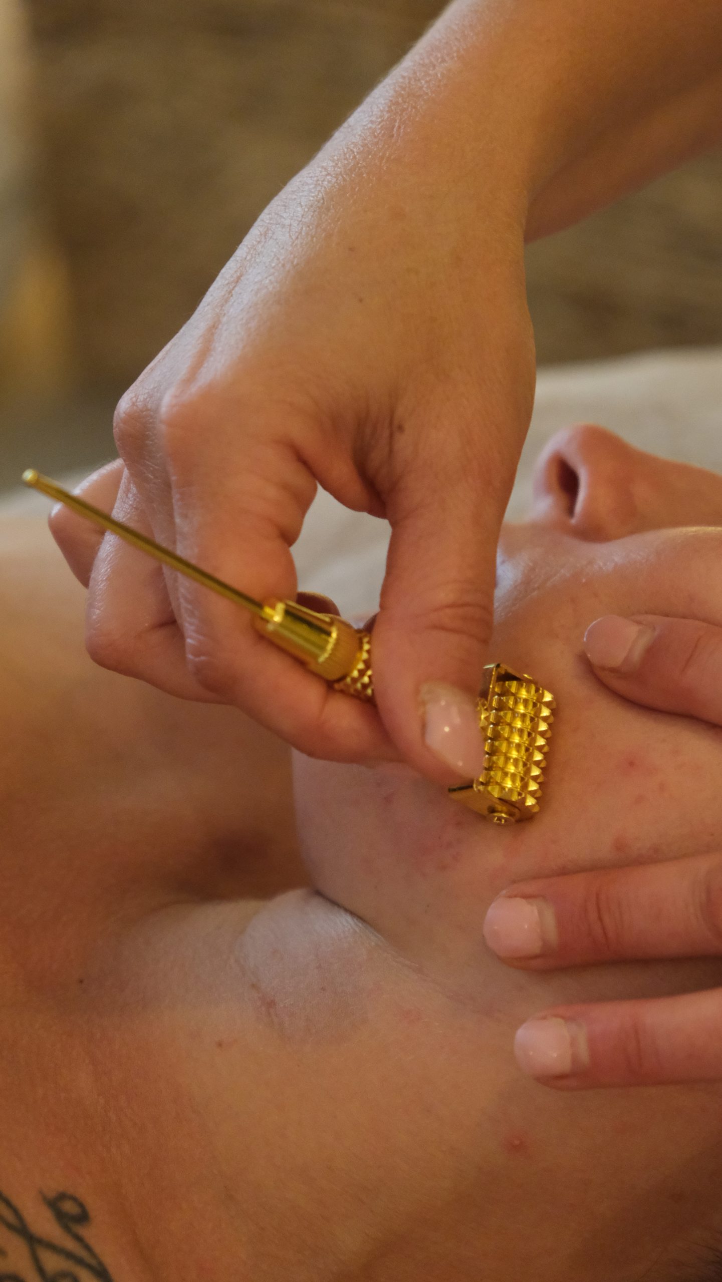 HÔSHÔ FACIAL FORMATION