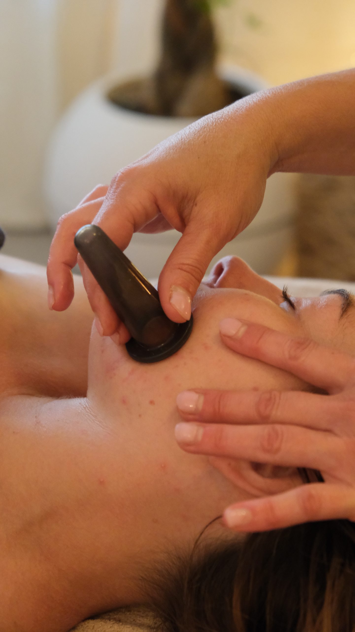 HÔSHÔ FACIAL FORMATION