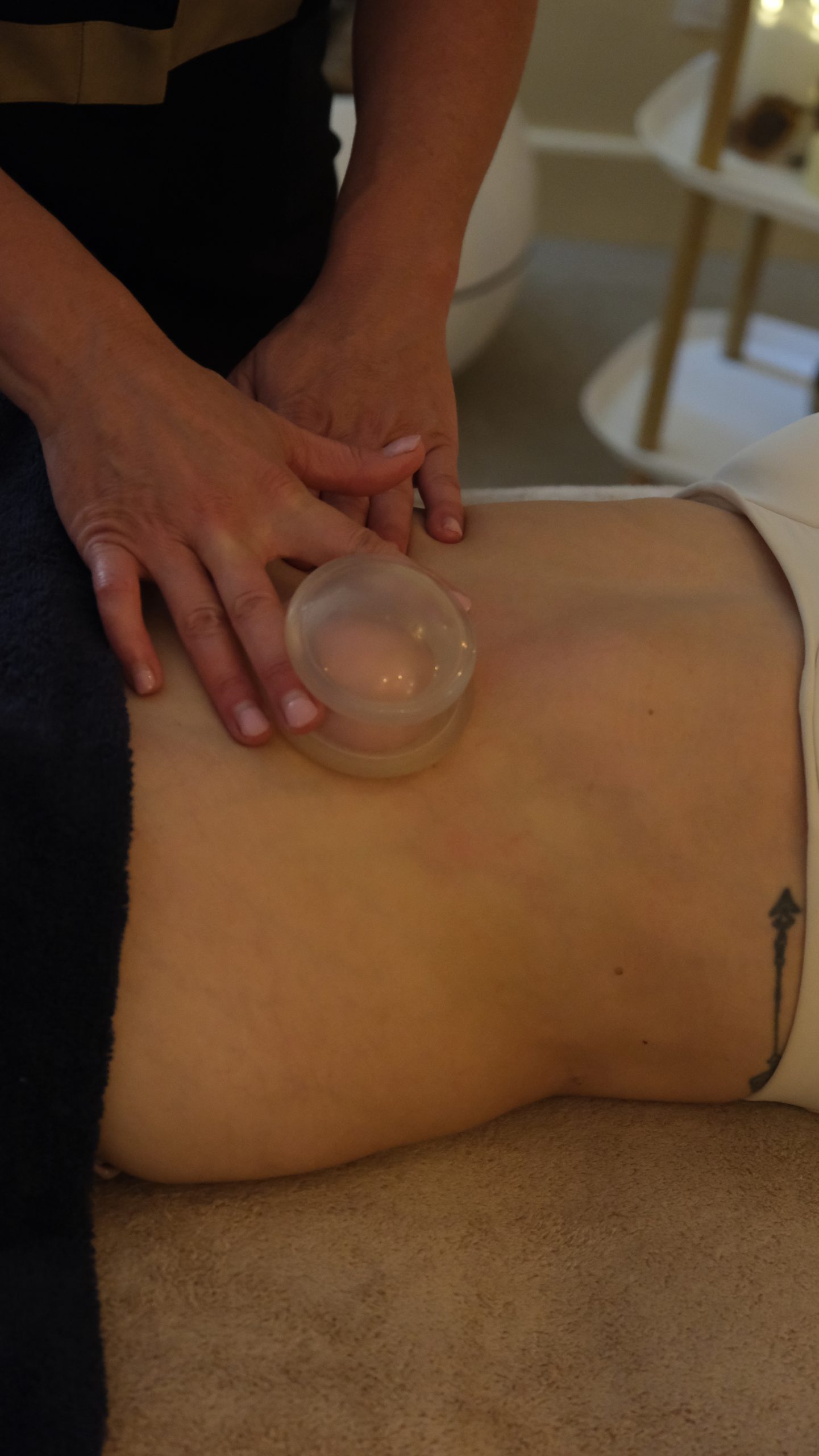 HÔSHÔ SILHOUETTE FORMATION