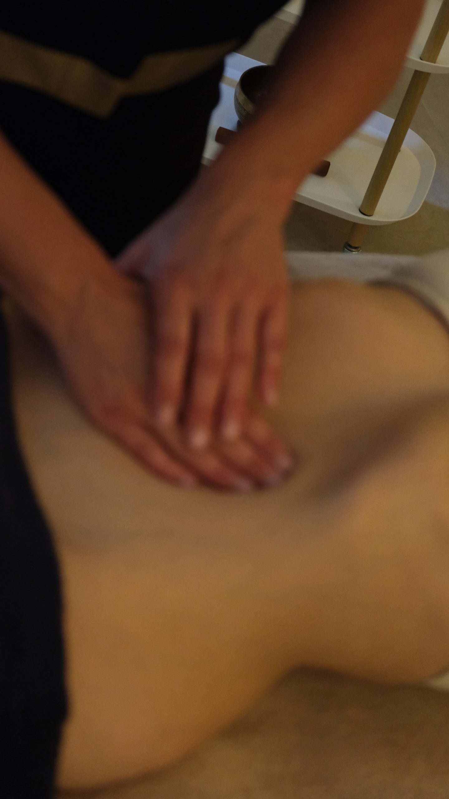 HÔSHÔ SILHOUETTE FORMATION